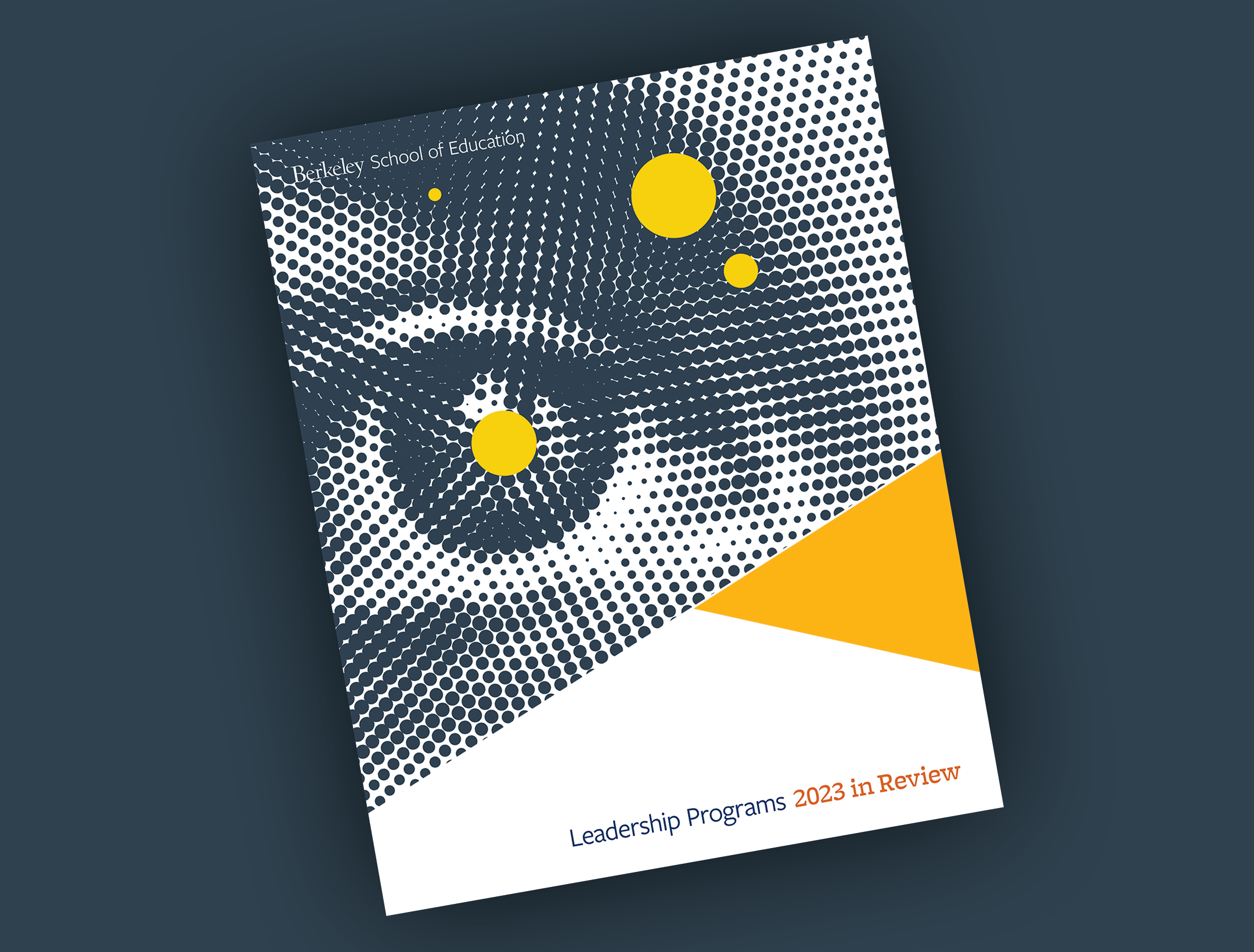 Berkeley School of Education Leadership Programs 2023 in Review report cover